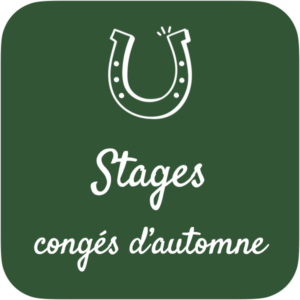 Stages d’automne 2024